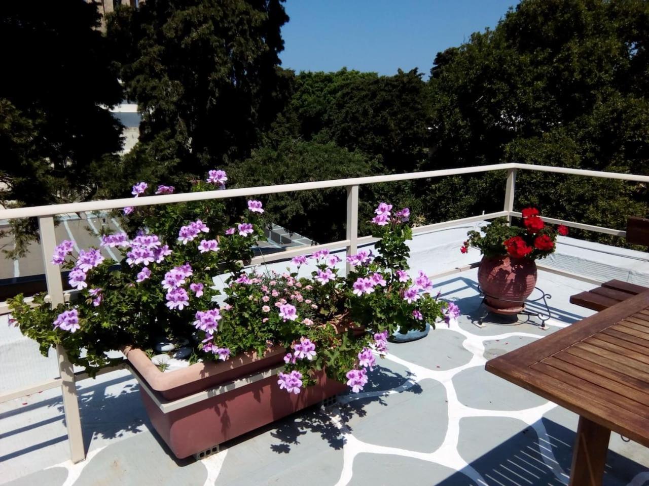 Apartament Park House -beside The Medieval Town Of Rhodes